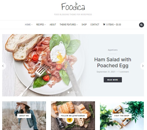 Foodica WordPress Theme